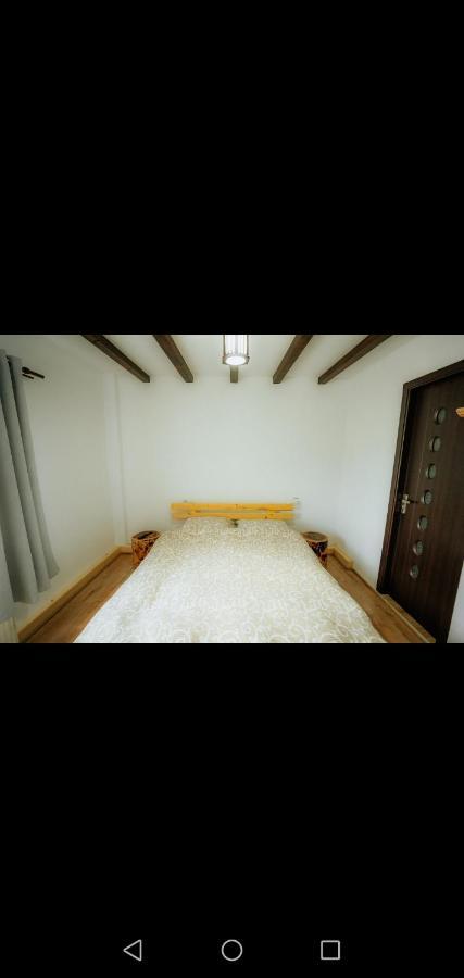 فندق Casa Pietrosu Rodnei Borşa المظهر الخارجي الصورة