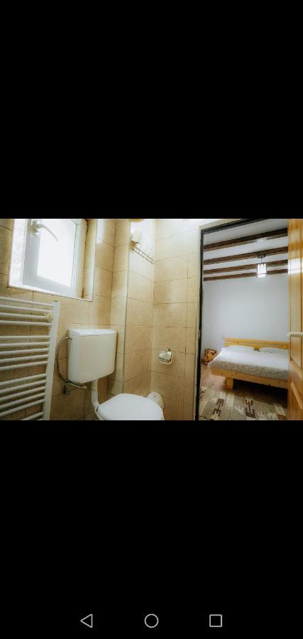 فندق Casa Pietrosu Rodnei Borşa المظهر الخارجي الصورة